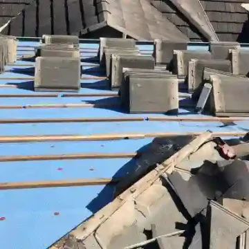 Professional Roofer