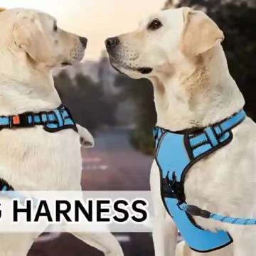 Dog Harness