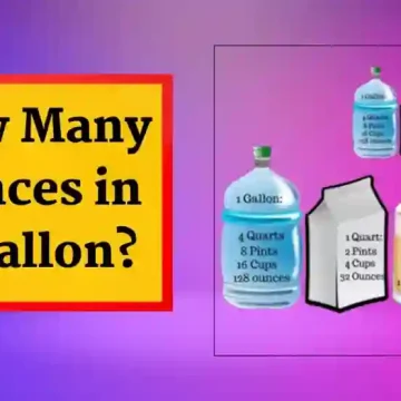 Ounces in a Gallon